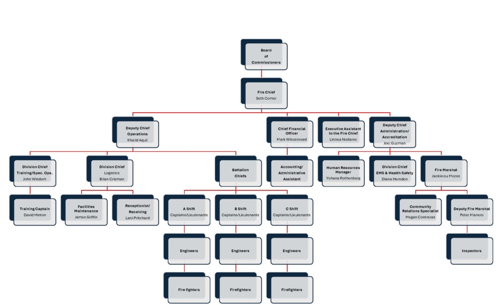 Organization
